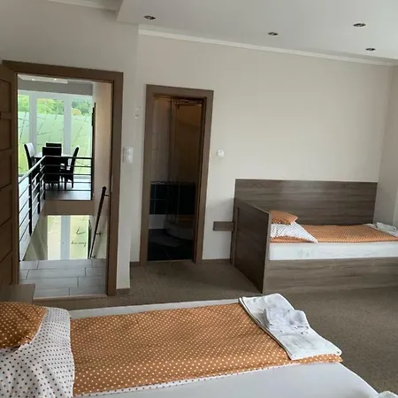 Guest house Vaci Vendeghaz *